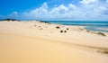 Bazaruto tropical sandy beach Royalty Free Stock Photo