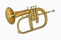 Bb Flugel Horn