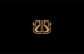 BB letter linear shape luxury flourishes ornament logotype