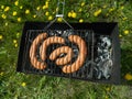 Sausages, BBQ and dandelion flowers on summer field Royalty Free Stock Photo