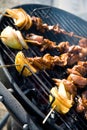 BBQ Royalty Free Stock Photo