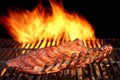 BBQ Baby Back Pork Ribs On The Hot Flaming Grill Royalty Free Stock Photo