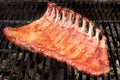 BBQ Baby Back Pork Ribs On The Hot Grill Royalty Free Stock Photo