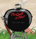 BBQ backyard party invitation Royalty Free Stock Photo