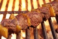 BBQ Beef Kebab On The Hot Flaming Grill Royalty Free Stock Photo