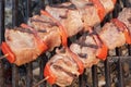 BBQ Beef Kebabs Mixed With Vegetables On The Hot Charcoal Grill Royalty Free Stock Photo