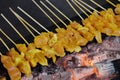 BBQ Chicken Satay on Grill