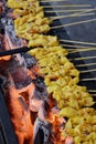 BBQ Chicken Satay on Grill