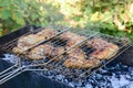 BBQ chicken wings on smoking grill over hot coals Royalty Free Stock Photo