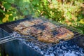 BBQ chicken wings on smoking grill over hot coals Royalty Free Stock Photo