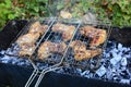 BBQ chicken wings on smoking grill over hot coals