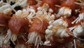 BBQ dish: Pork rolls with enoki mushrooms