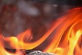 bbq fire,macro texture flame from the burning logs in the fireplace,fire Royalty Free Stock Photo