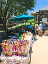 BBQ foods and snacks at resident pool party event at apartment complex near Dallas