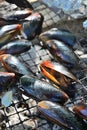 BBQ grill mussels seafood fire charcoal