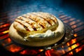 Bbq, grilled camembert cheese on grill grate with fire. Close-up view. Summer picnic outdoors.