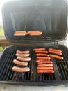 Bbq grilled dogs