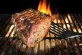BBQ Grilled Pork Chop With Ribs On The Hot Grill. Royalty Free Stock Photo
