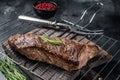 BBQ grilled tri tip beef steak on a grill. Black background. Top view