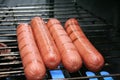 BBQ hot dogs