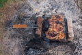 BBQ. Juicy slices of meat prepare on grill Royalty Free Stock Photo