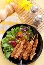 BBQ Marinated shashlik Royalty Free Stock Photo