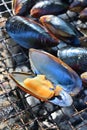 BBQ grill mussels seafood fire charcoal
