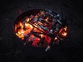 BBQ in nature on a open fire in Yosimite Royalty Free Stock Photo
