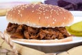 BBQ pulled pork sandwich bun Royalty Free Stock Photo