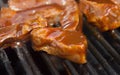 Bbq ribs Royalty Free Stock Photo