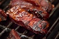 Bbq ribs Royalty Free Stock Photo