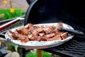 BBQ ribs Royalty Free Stock Photo