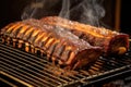 bbq ribs on smoker grates with charcoal below