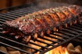 bbq ribs on smoker grates with charcoal below