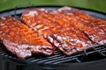 BBQ Ribs