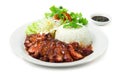 BBQ Roast Pork with Sweet Sauce and Rice Recipe Hong Kong Red Pork Style Royalty Free Stock Photo