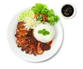 BBQ Roast Pork with Sweet Sauce and Rice Recipe Hong Kong Red Pork Style Royalty Free Stock Photo