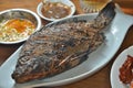 BBQ roasted grouper fish Royalty Free Stock Photo
