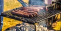 BBQ sausage on an open coal fire grill Royalty Free Stock Photo