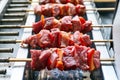 BBQ shish beef on skewers. Summer delicious fried kebabs with red peppers vegetables. Barbecue with delicious grilled Royalty Free Stock Photo