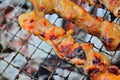 BBQ skewer pork meat fire charcoal Royalty Free Stock Photo