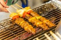 BBQ Skewers Kebabs and vegetables on skewers, colorful and delicious. Royalty Free Stock Photo