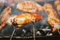 BBQ smoked chicken wings close up Royalty Free Stock Photo