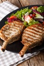 BBQ spicy pork cutlet with mixed salad on a plate close-up. vert Royalty Free Stock Photo