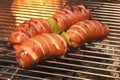 BBQ Spit Roasted Fatty Sausage On The Hot Flaming Grill