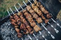 BBQ, spring background Royalty Free Stock Photo