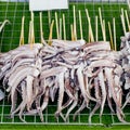 BBQ Squid on a Stick. grilled buttered fresh squid ready to eat