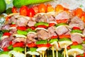 Bbq sticks on ice,raw beef skewers Royalty Free Stock Photo
