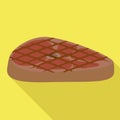 Bbq tasty steak icon, flat style