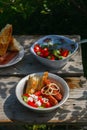 BBQ. Village lunch. grilled sausages with vegetable salad, onion and grilled bread. Royalty Free Stock Photo